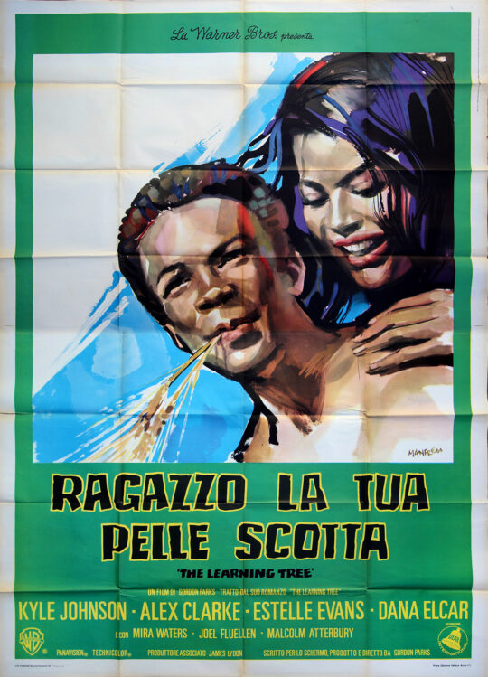 Gordon Parks (screenwriter, director) THE LEARNING TREE [RAGAZZO LA TUA PELLE SCOTTA] (1969) Italian poster - 1